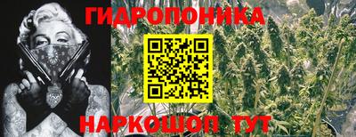 соль ск Нальчик