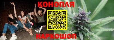 прущие крисы Нарткала