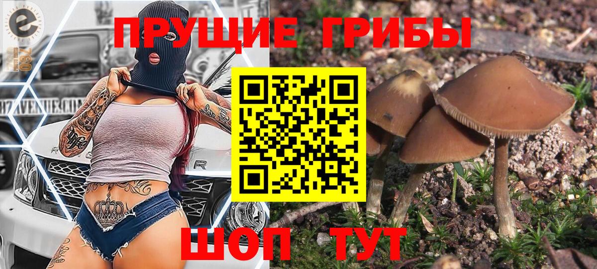 Славгород  закладки  Вход с VPN  Псилоцибиновые грибы мицелий 